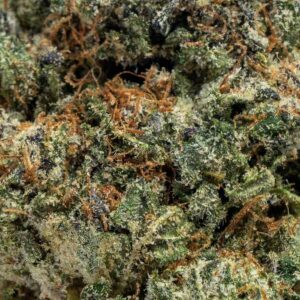 Alternative view of Blue Cookies 🍪