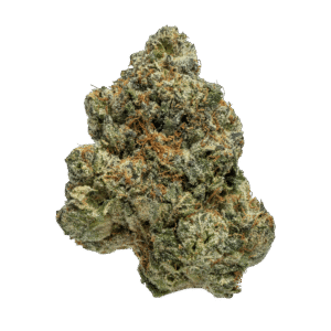 Blue Cookies 🍪