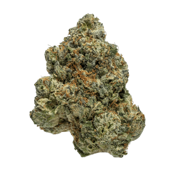 Blue Cookies 🍪