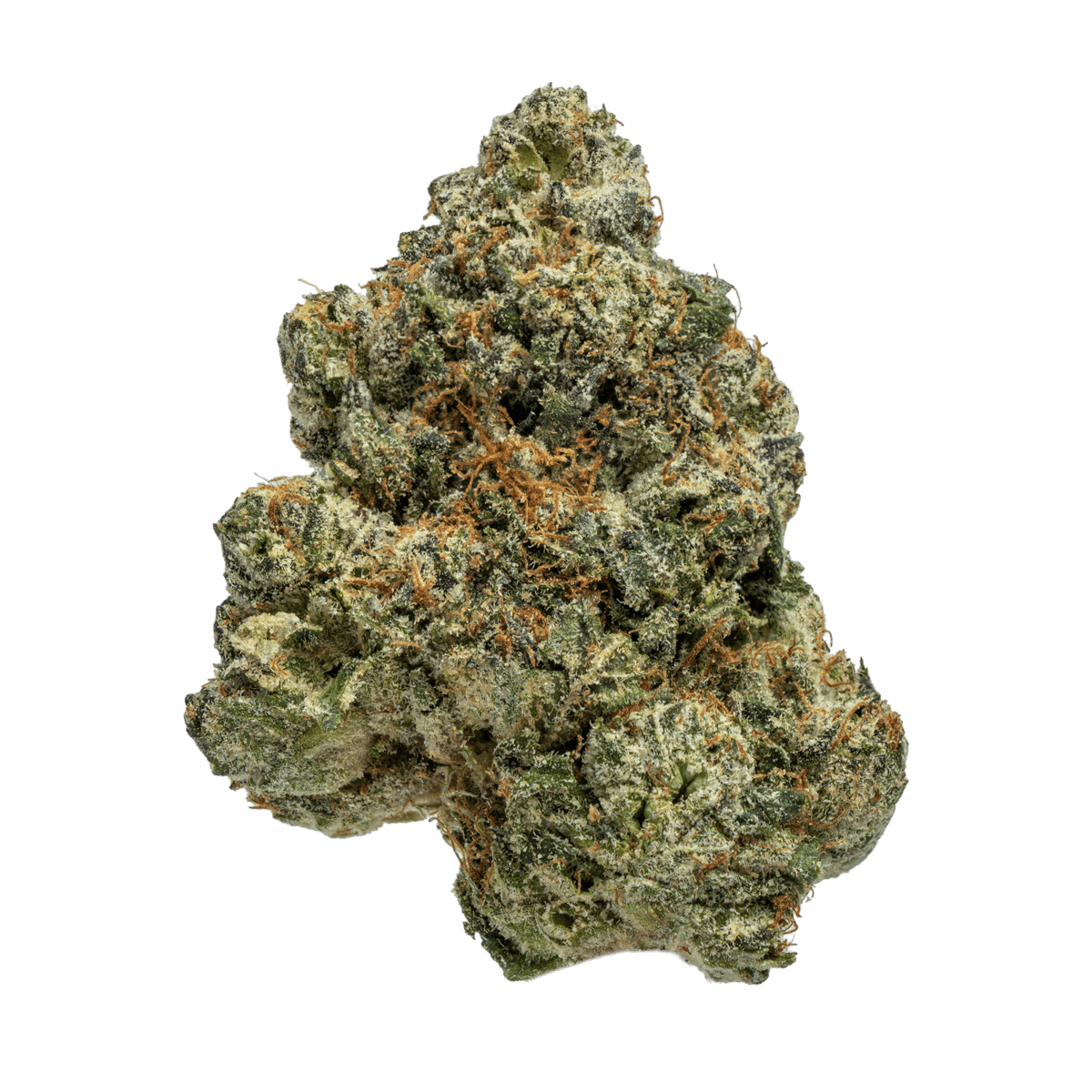 Blue Cookies ๐ช