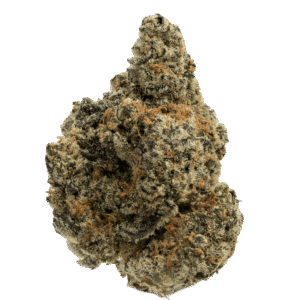 Gas Can ⛽