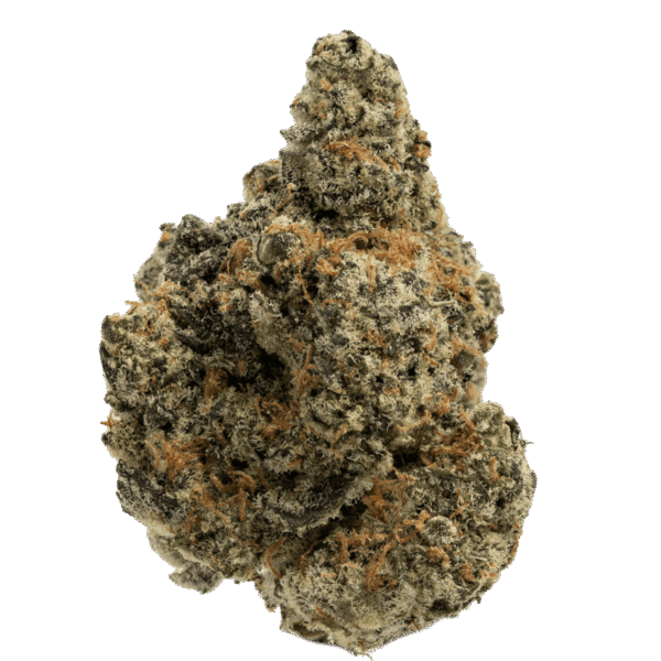 Gas Can ⛽