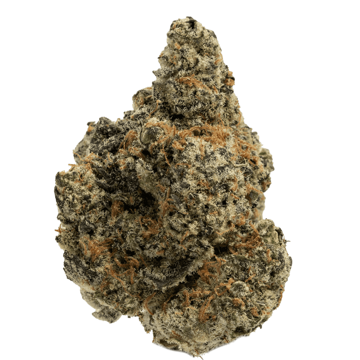 Gas Can ⛽