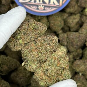 Alternative view of Jawbreakerz