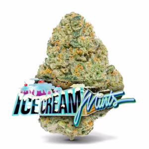 🍨 Ice Cream Mints – Premium Flower