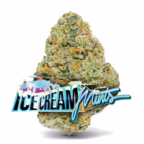 🍨 Ice Cream Mints – Premium Flower