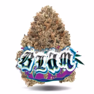 🌿 BLAM – Premium Flower
